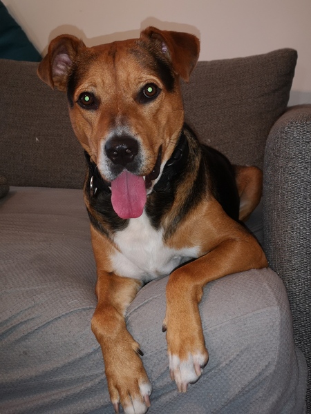 Sampson