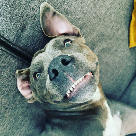 Zeke