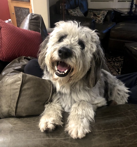 Darby