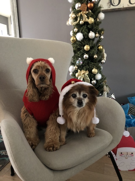 Georgie  & Penny