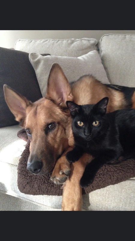 Axel and Edward