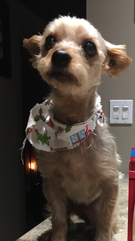 Tiki 
