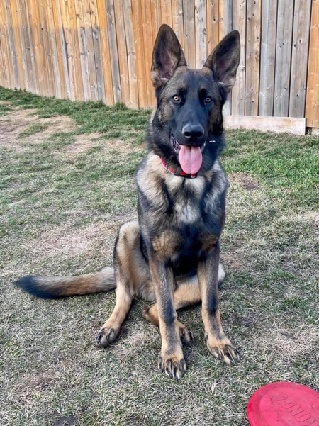 Opie 