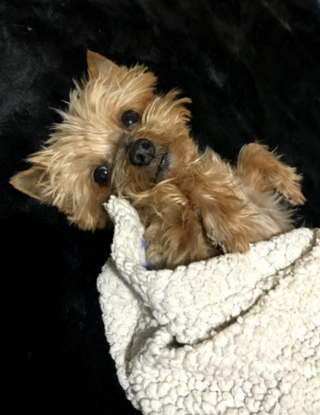 Roxy