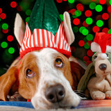 Entry image for Floyd