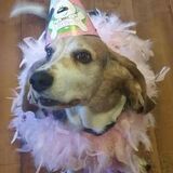 Entry image for Sophie