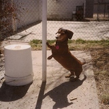 Entry image for Loosie
