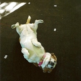 Entry image for Reilly