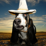 Entry image for Sheriff George