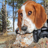 Entry image for Porter