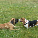 Entry image for Keely and cousin Willis