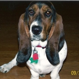 Entry image for Snickers