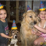 Entry image for Snickers 9th Birthday Party