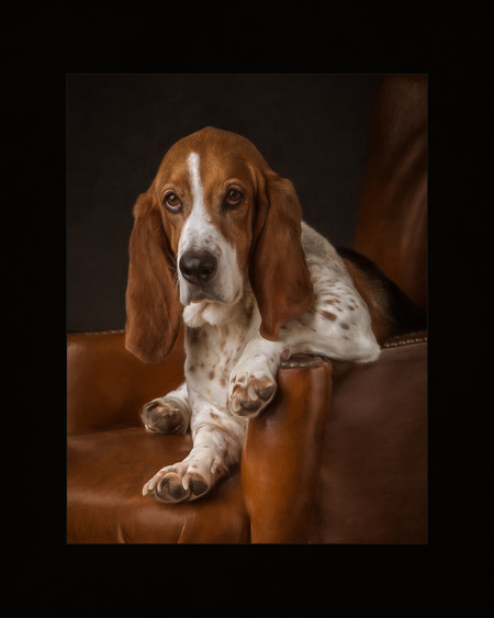 Entry image for Bella. Clicking this image will show a larger photo
