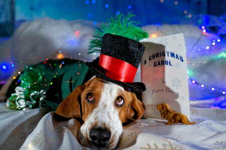 Entry image for Floyd. Clicking this image will show a larger photo