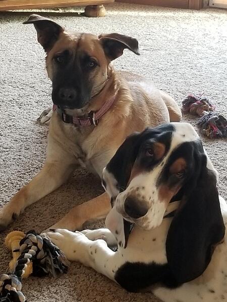 Entry image for Nell and Abner. Clicking this image will show a larger photo