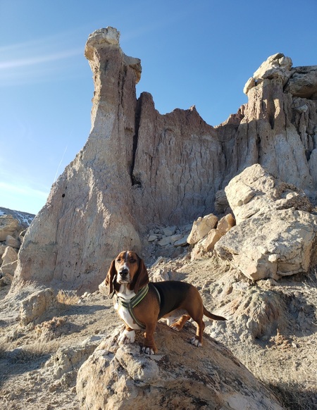 Entry image for Charlie. Clicking this image will show a larger photo