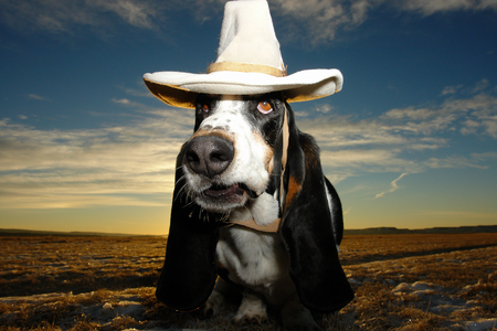 Entry image for Sheriff George. Clicking this image will show a larger photo