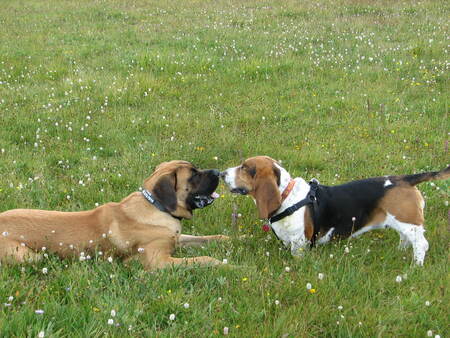 Entry image for Keely and cousin Willis. Clicking this image will show a larger photo