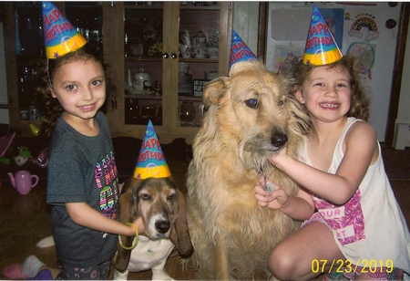 Entry image for Snickers 9th Birthday Party. Clicking this image will show a larger photo