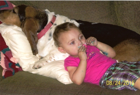 Entry image for Snickers. Clicking this image will show a larger photo