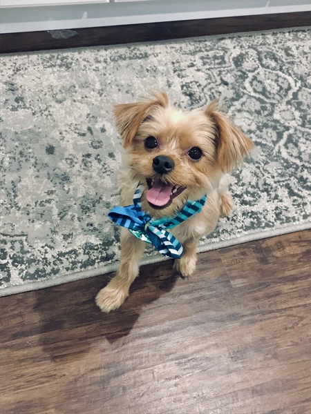 Chewy