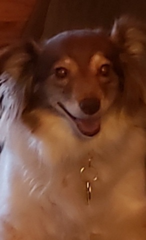 Gabby 