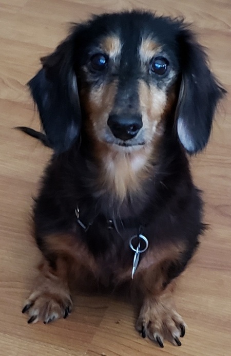 Rambo