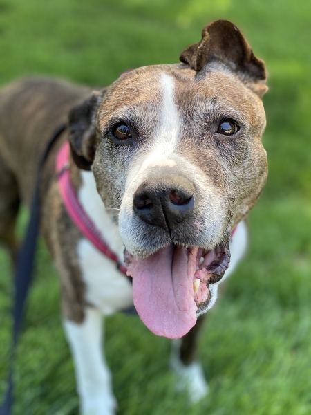 Lena (aka Serenity)