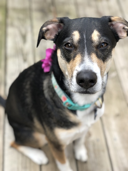 Maddie 