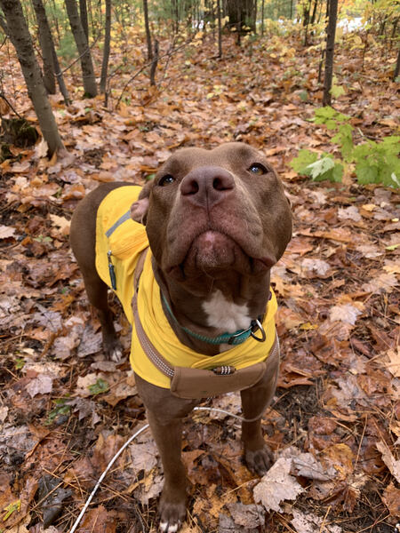 Mia