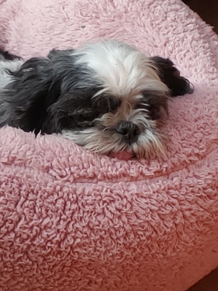 Tallulah
