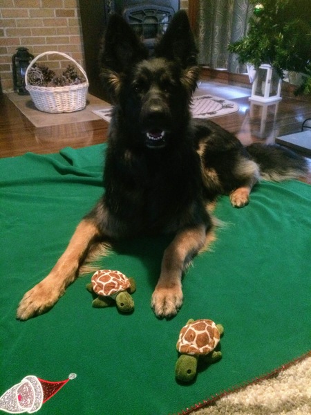Molly