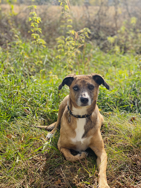 Bailey