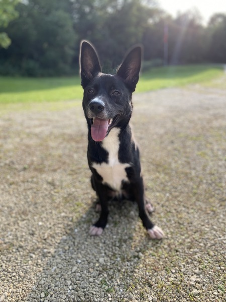 Max