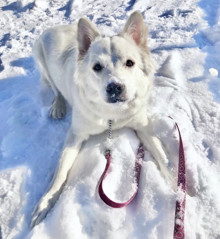 Entry image for Kela . Clicking this image will show a larger photo