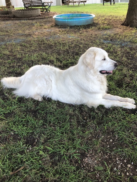 Ellie