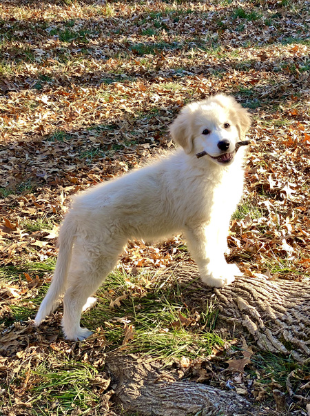 Betty