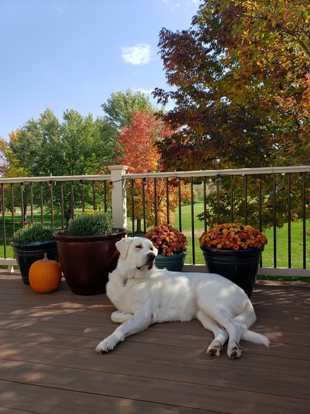 Delilah