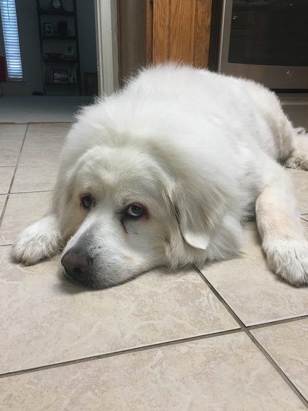 Maggie