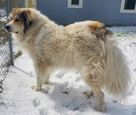 Kenai