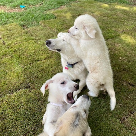 Chloe and the Caribbean Cuties
