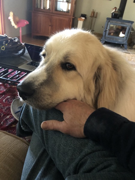 Ajax