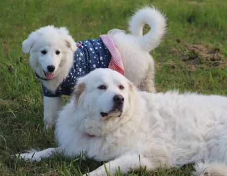 Solstice and Solaris