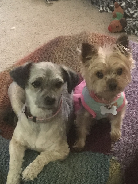 Coco (8) and Lena (15), both adopted at LHS