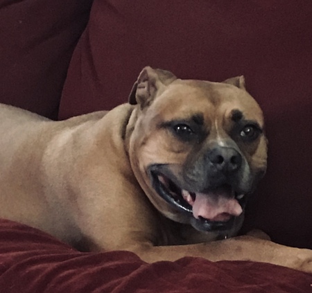 Duke