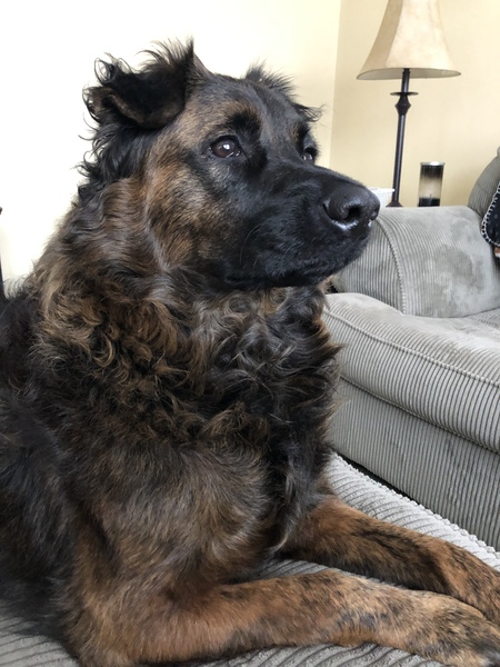 Titus