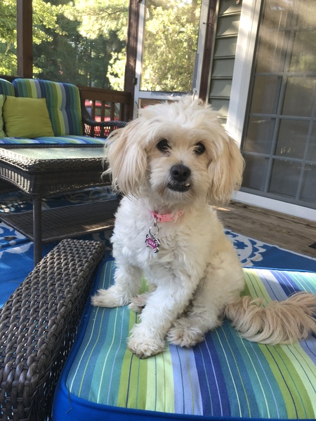 Luna Grace
