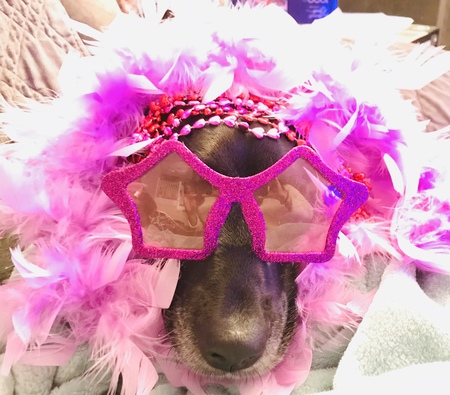 Zoey 