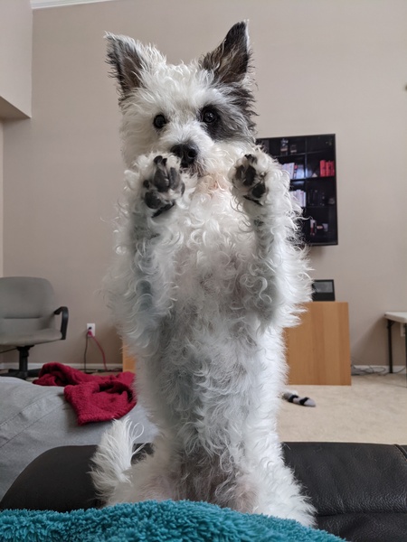 Zoe